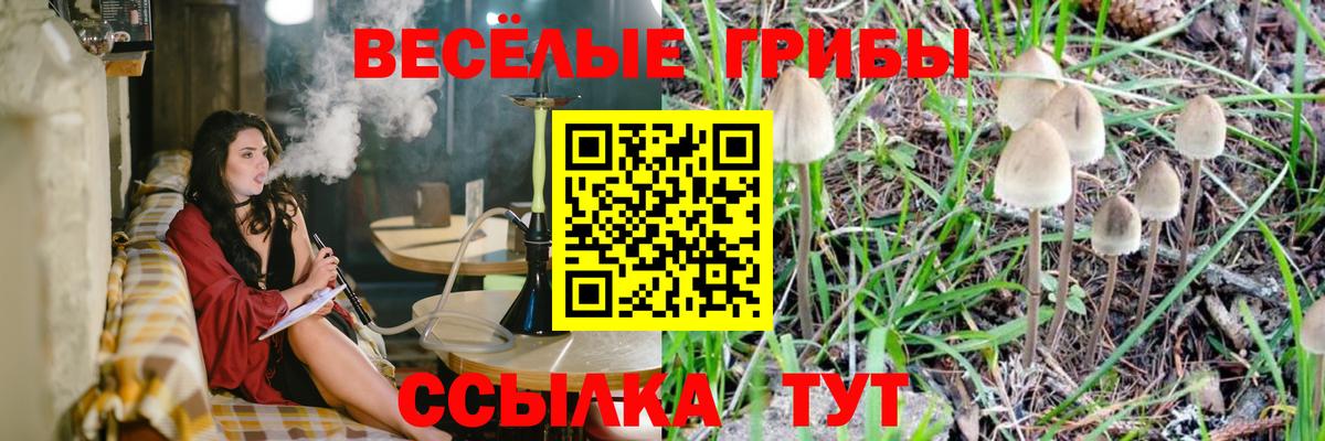 Нальчик  Меф   COCAIN  A-PVP СК   Гашиш  НБОМе  Где купить  Вход с VPN  Конопля 