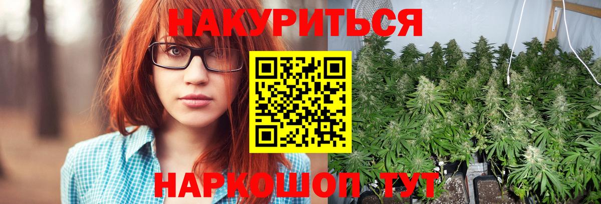 Конопля конопля Нальчик